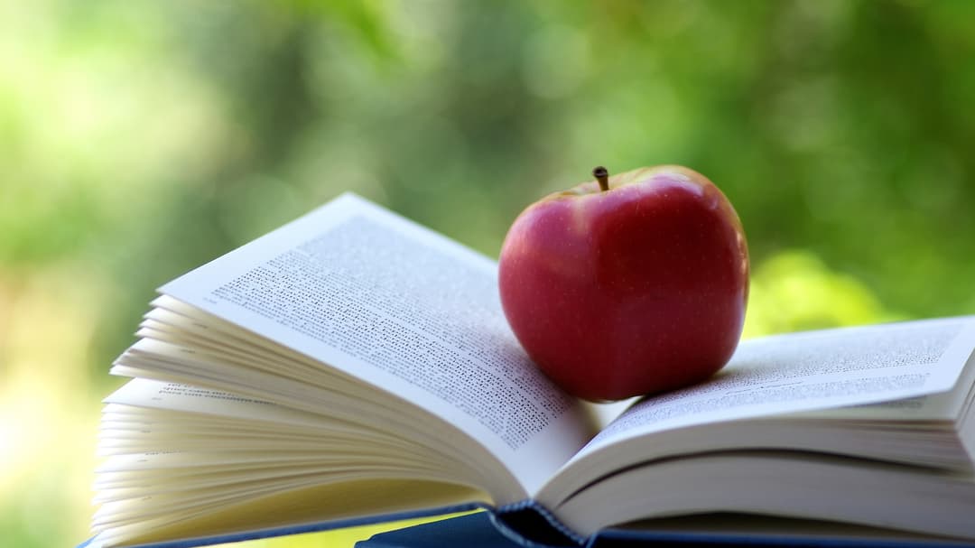 22586-red-apple-on-a-book.jpg