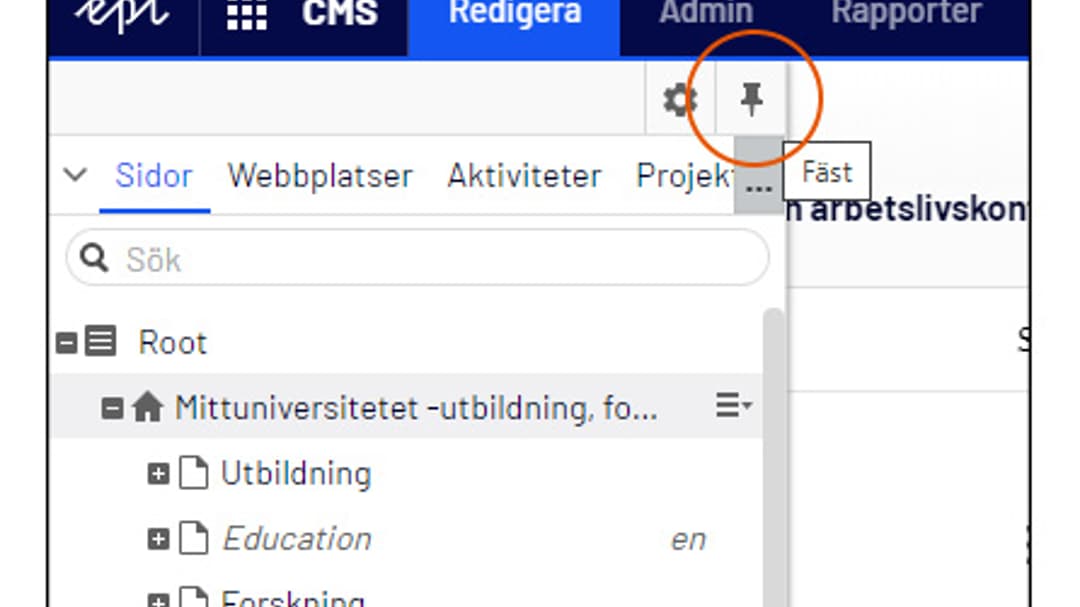 Häftstiftet för att nåla fast panelen.