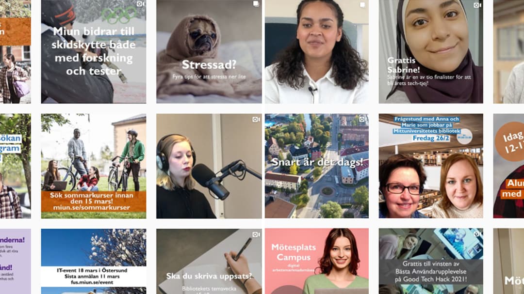 Bild på Instagram-flödet