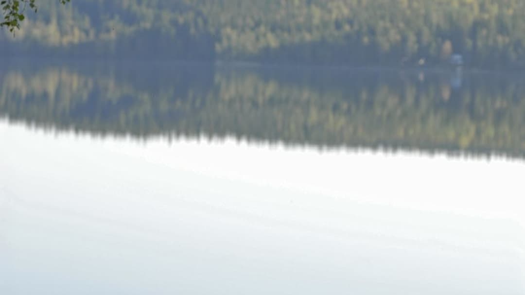 SjoEka får jag använda_resize_1200X803_resize_1200X803.jpg