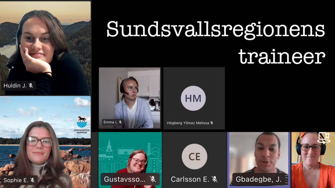 Traineer bidrar till forskningsprojekt