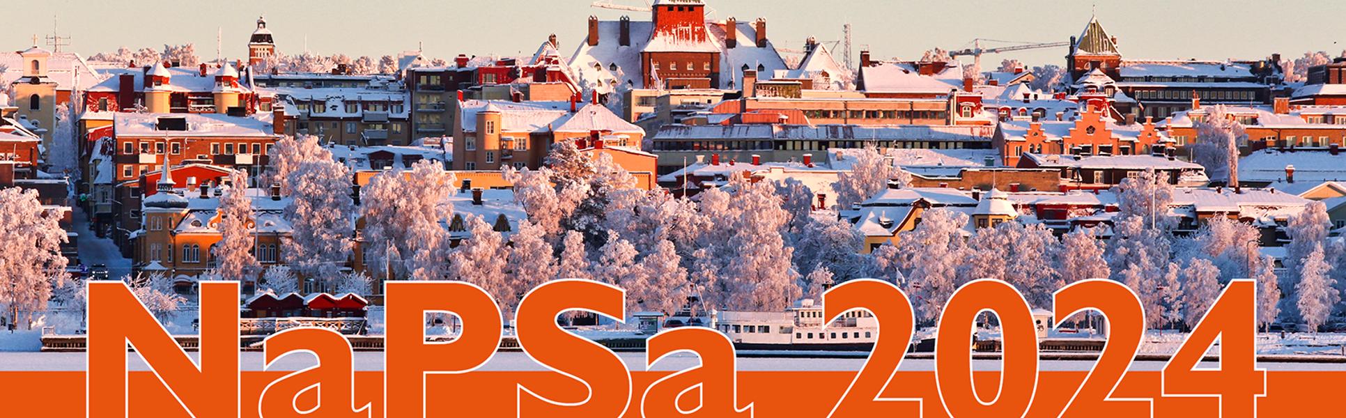 Östersundsvy med konferensnamnet NaPSA 2024 och text: 20–21 mars, Mittuniversitetet Östersund.