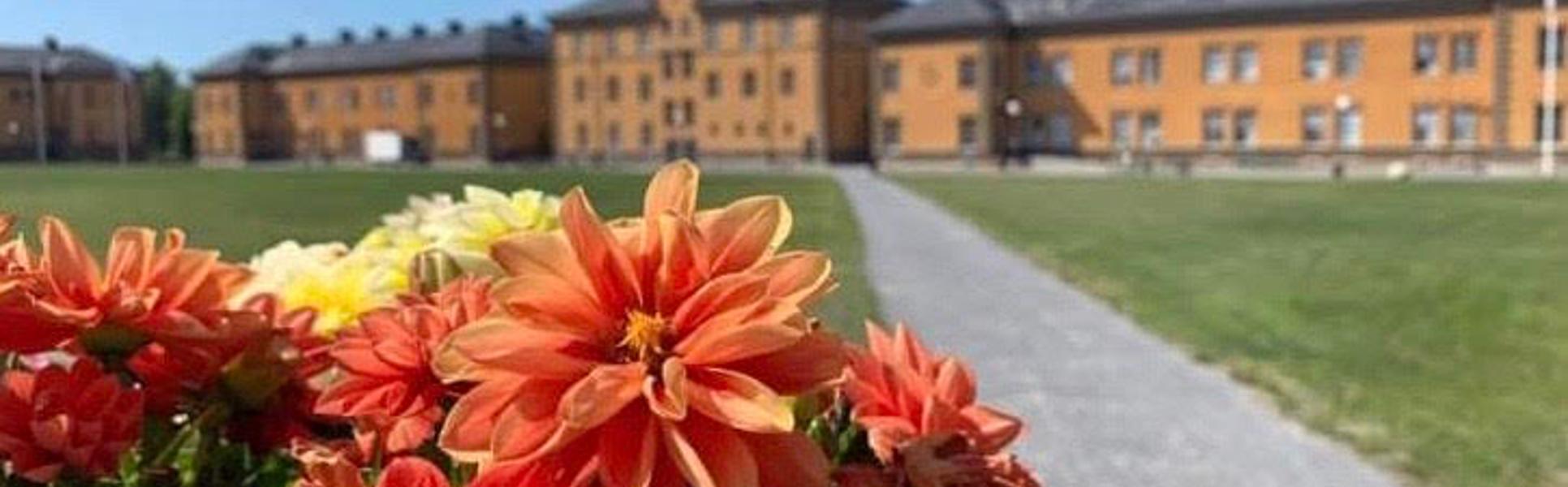 campus sommar
