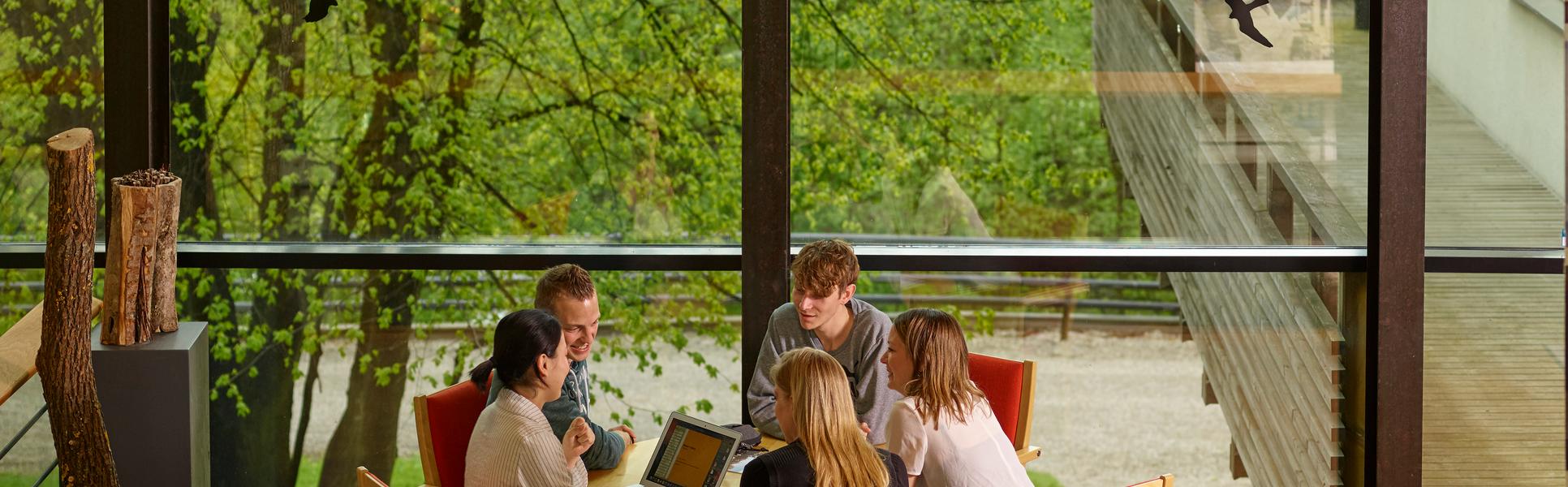 Internationalisering, IRO, internationella studenter, utbytesstudenter, utbytesstudier 