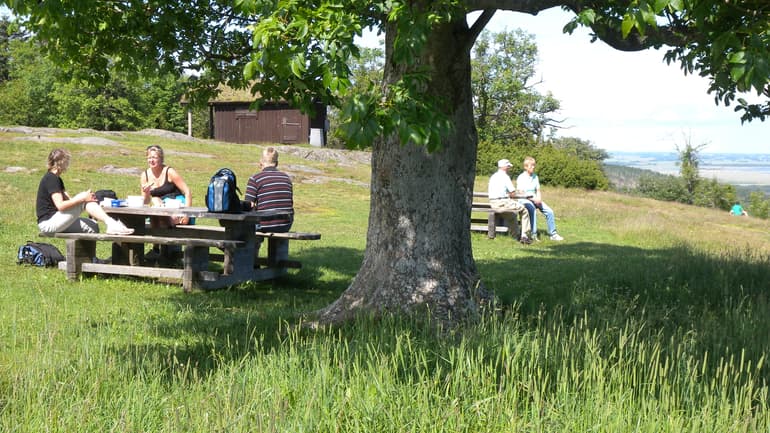 Fikapaus i naturen