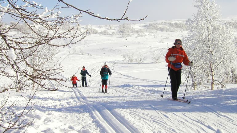 Turskidåkning i Härjedalen
