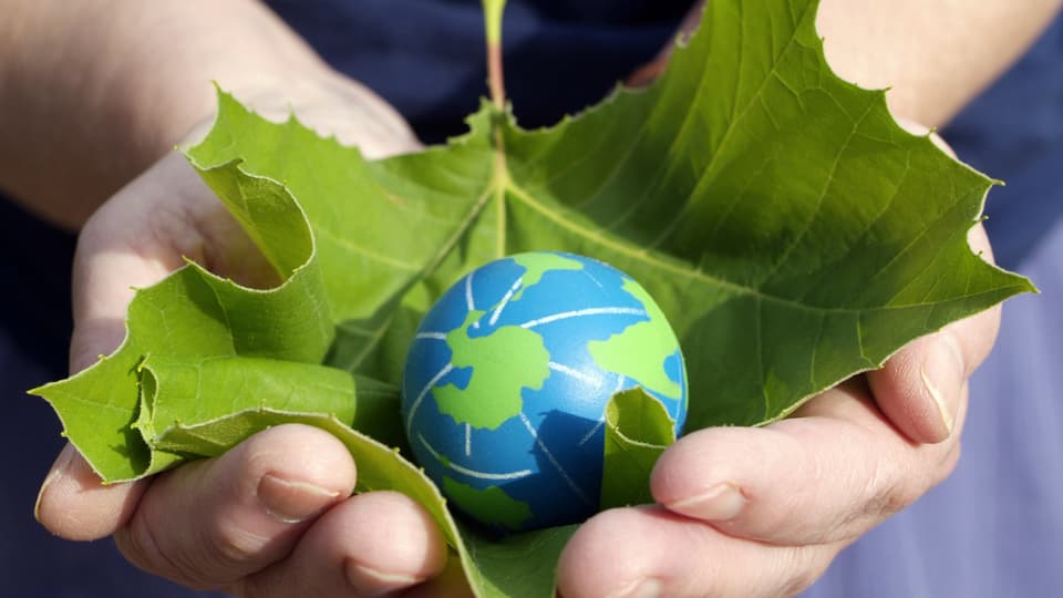 112079-environmental-conservation.jpg