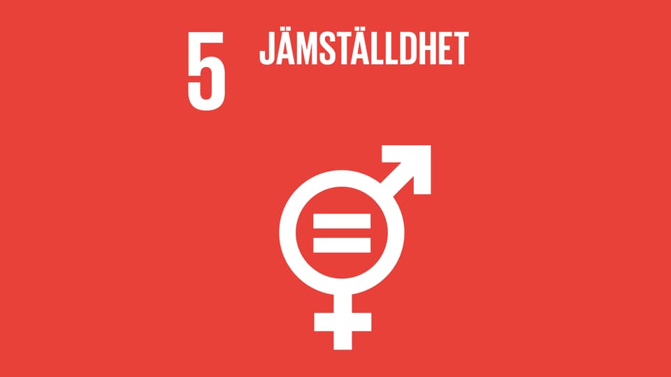 Globala målen