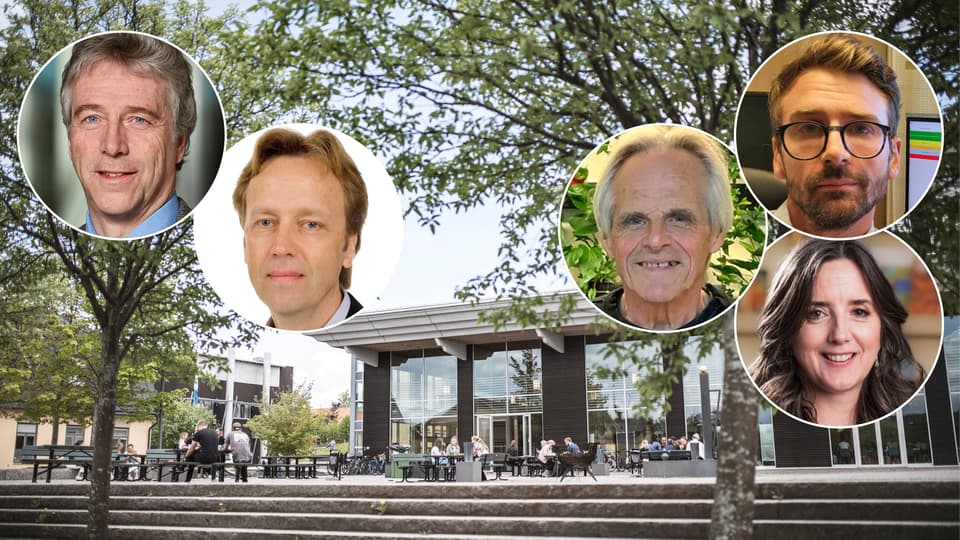 skogens värden 4