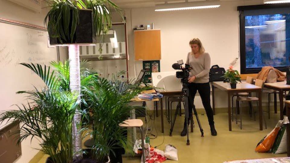 DEVA Timrå Gymnasium