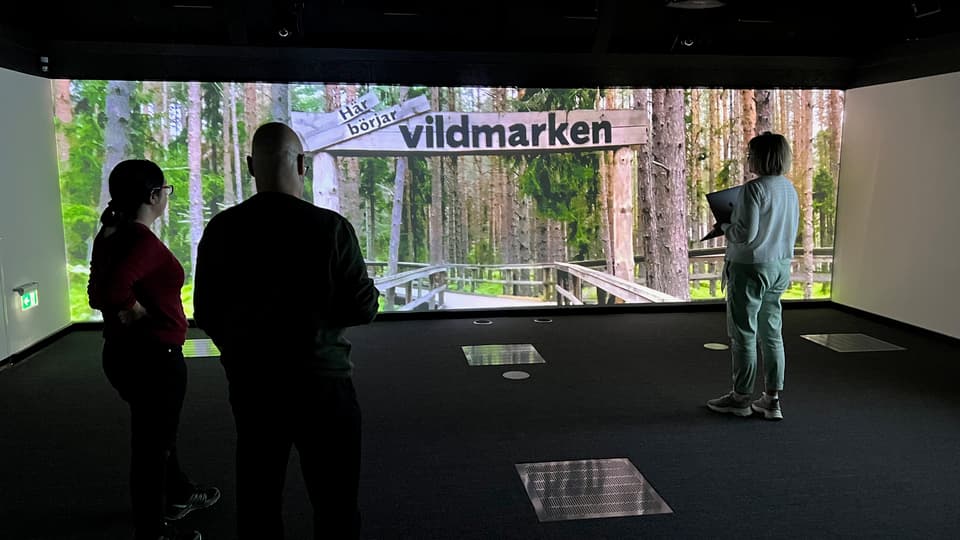Tre personer står i ett mörkt rum med ryggen mot betraktaren. På väggen projiceras en bild av en bred träspång i skogen. Ovanför spången sitter en träskylt med texten Här börjar vildmarken.