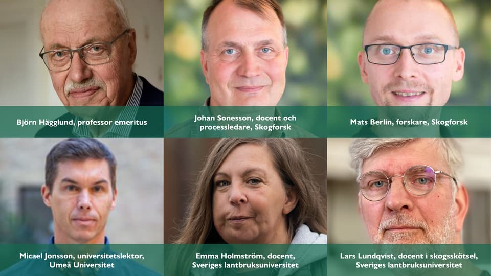 Skogens värden seminarium 3