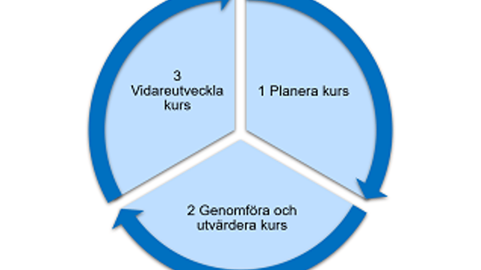Kurshjul (litet)