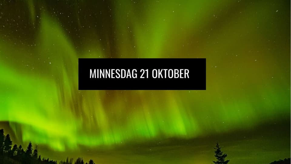 Minnesdag - svensk samepolitik får inte glömmas eller gömmas