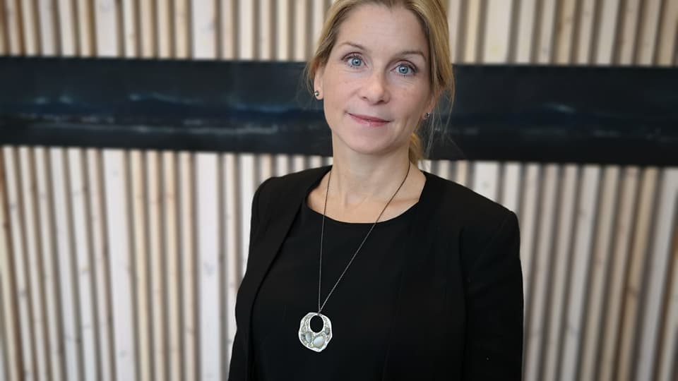 Sandra Wall-Reinius