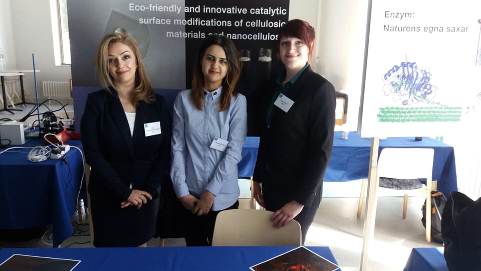 Science Fair 04.jpg