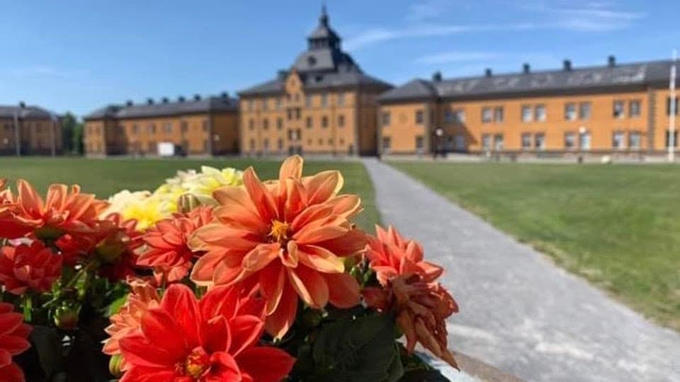 sommarcampus1.jpg