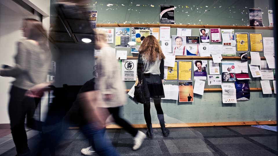 Student vid anslagstavla, 2 