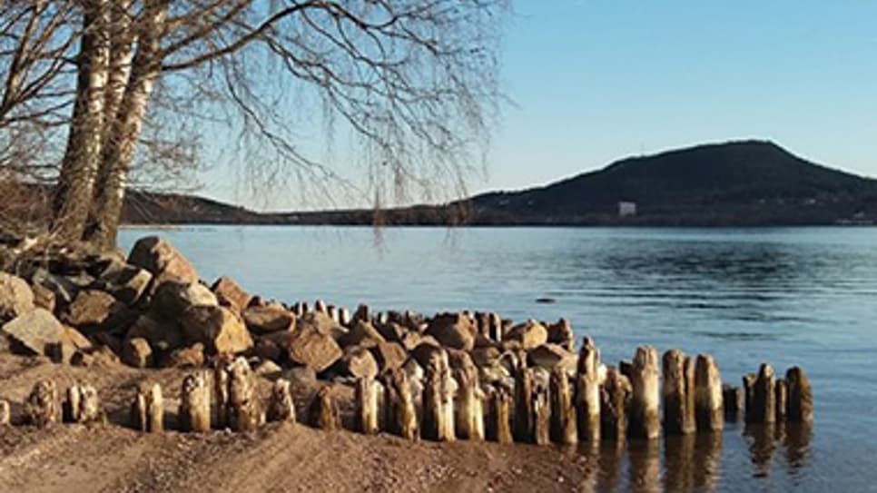 Essvik_Inger_380x300.jpg