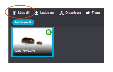 Image not found