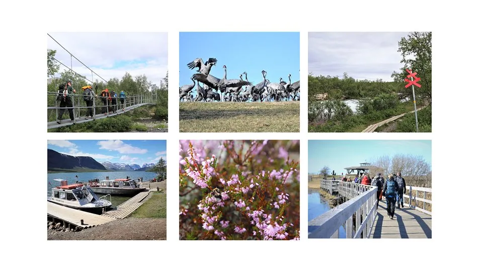 Kollage på friluftsaktiviteter och miljöer