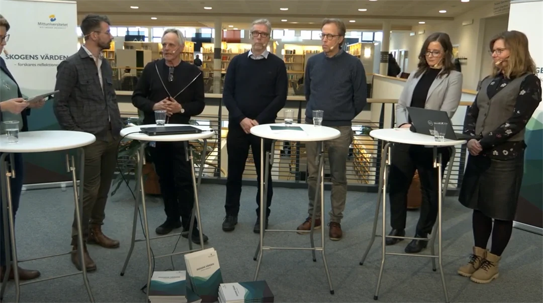 skogens värden seminarium 4