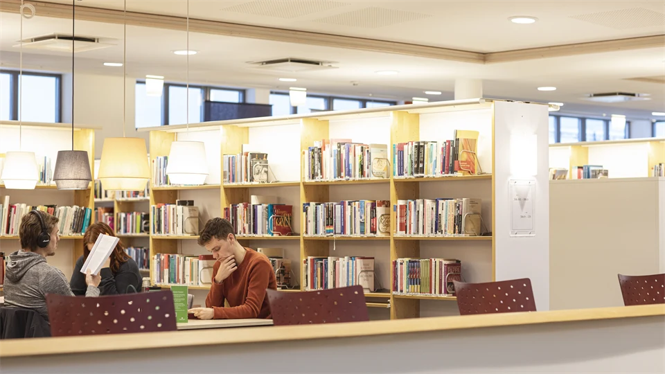 Studying at the library