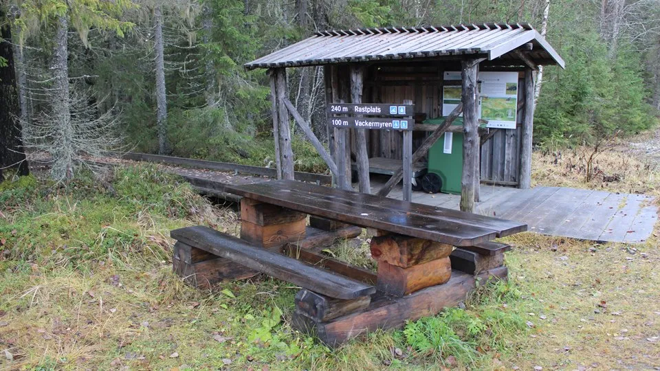 Tillgänglighet naturturism