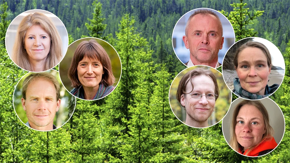 skogens värden seminarium 5