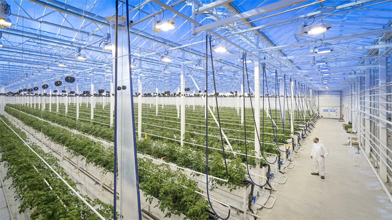 Peckas naturodlingar