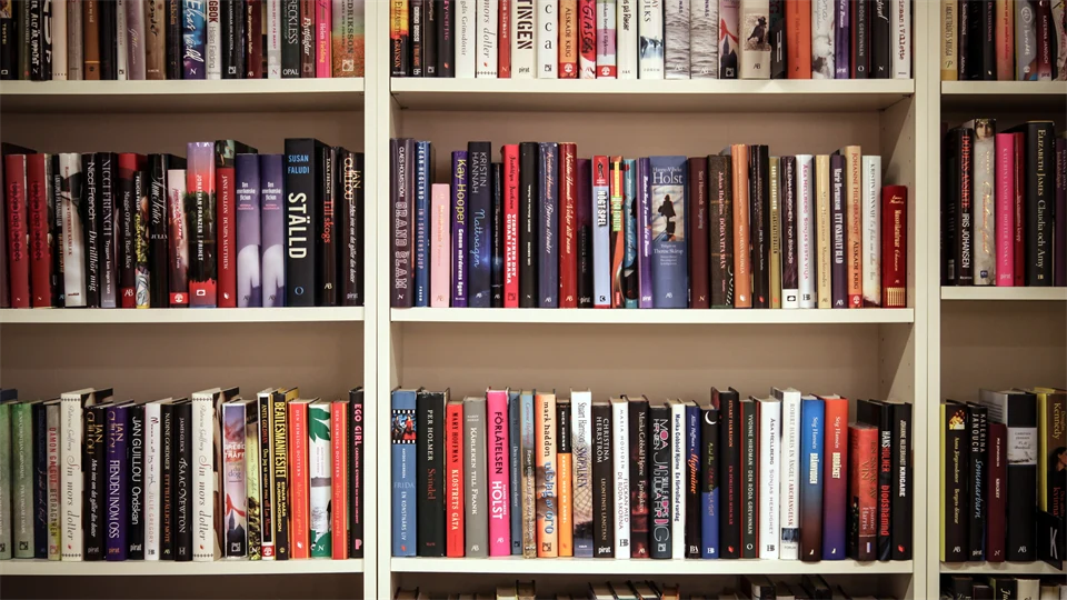 Flera böcker i en bokhylla