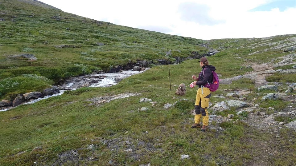 Kvinna med en hund på fjället