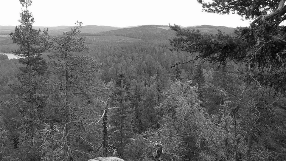 Skuleskogen