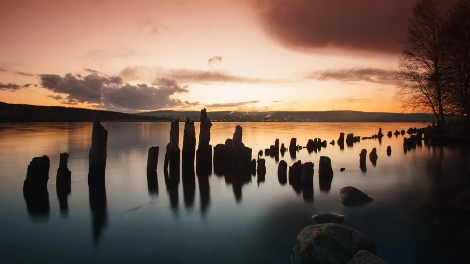 Träpålar i vattnet i solnedgång