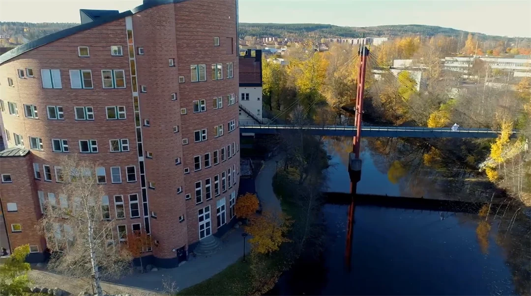Filmen berättar om Rektorsprogrammet, med inriktning förskolerektor