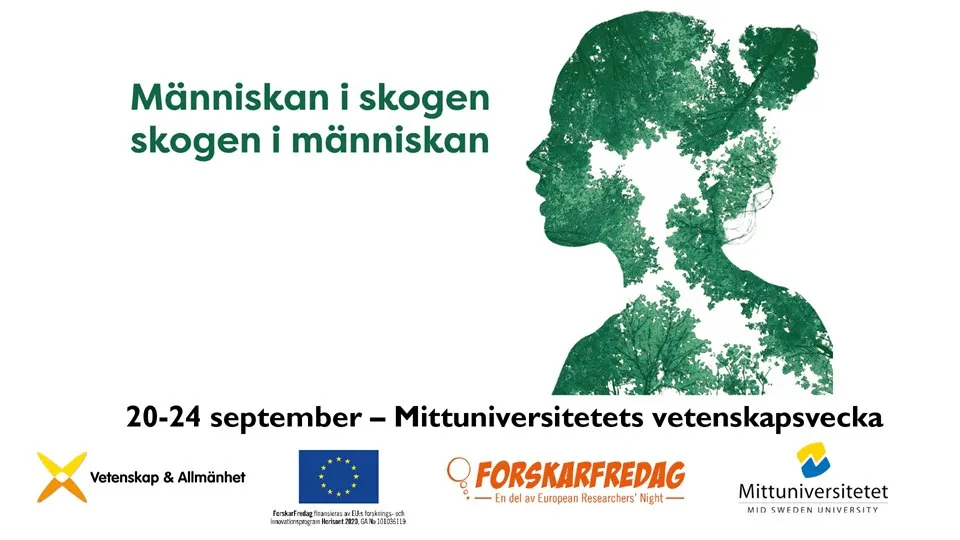 Bild på en illustration av en kvinna och skog med text.