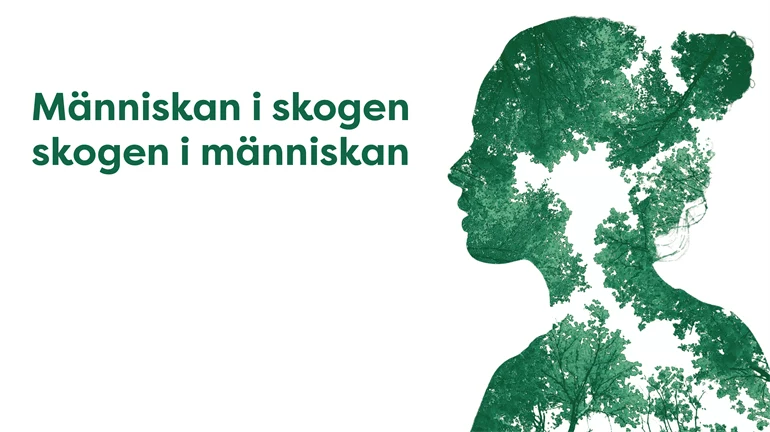 Siluett av ansikte i profil, fylld av träd