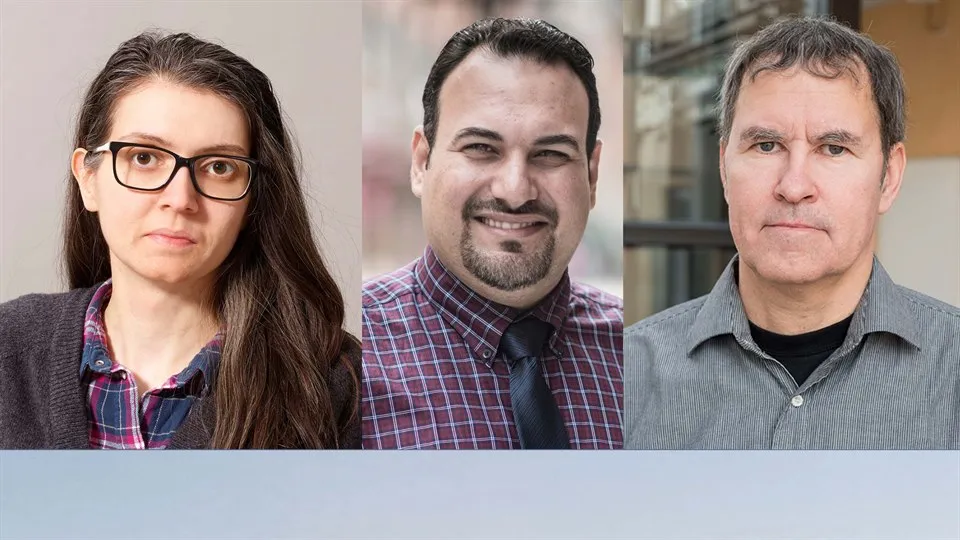 Peter, Irina,Mustafa