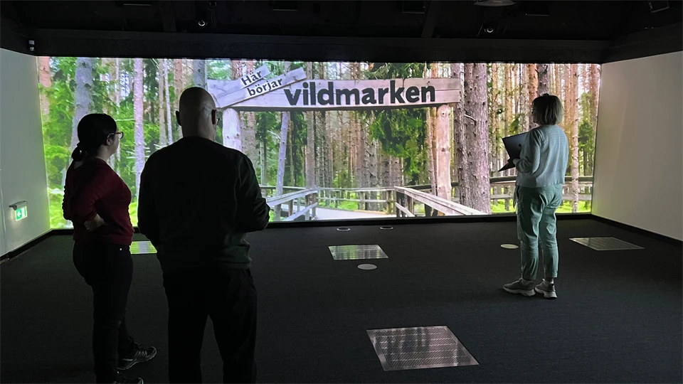 Three people stand in a dark room with their backs to the viewer. An image of a wooden walkway in the forest is projected onto the wall.  Above the walkway is a sign that says This is where the wilderness starts.