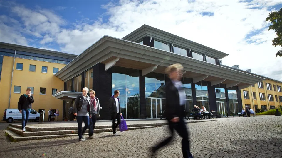 Gamla bildbanksbilder