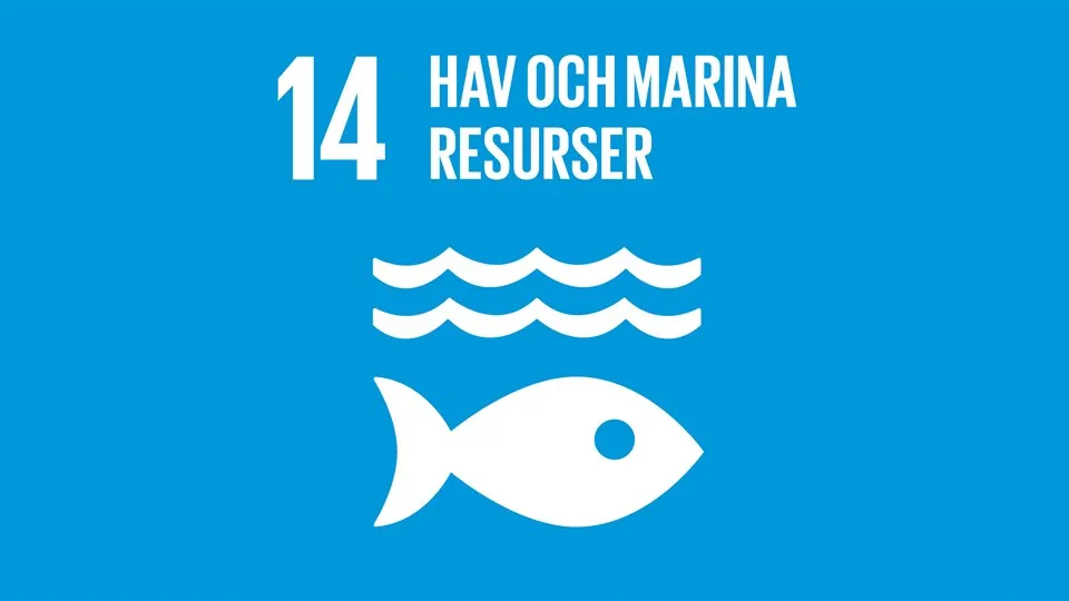 Globala målen