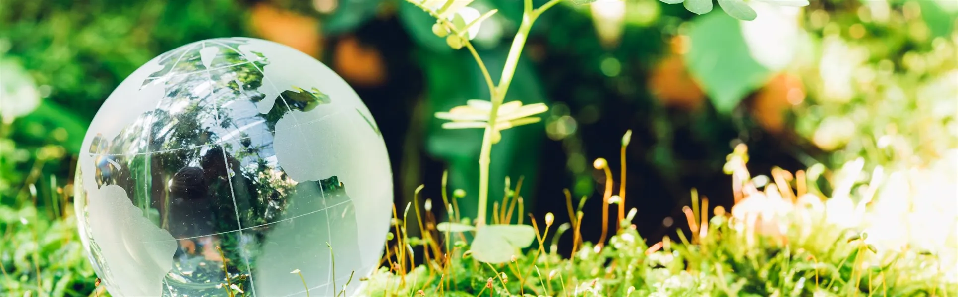 Jordglob miljö natur