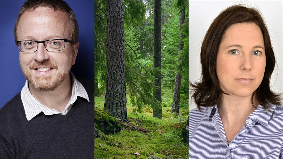 Kollage med Bengt-Gunnar Jonsson, en bild på barrskog och Jennie Sandström