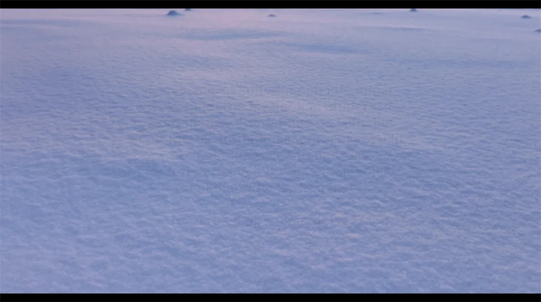 Främlingsfientlighet, rasism eller kolonialism Vad ska bort?