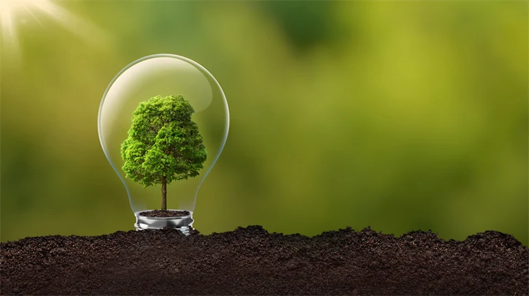Plant growing in the bulb, green abstract background.