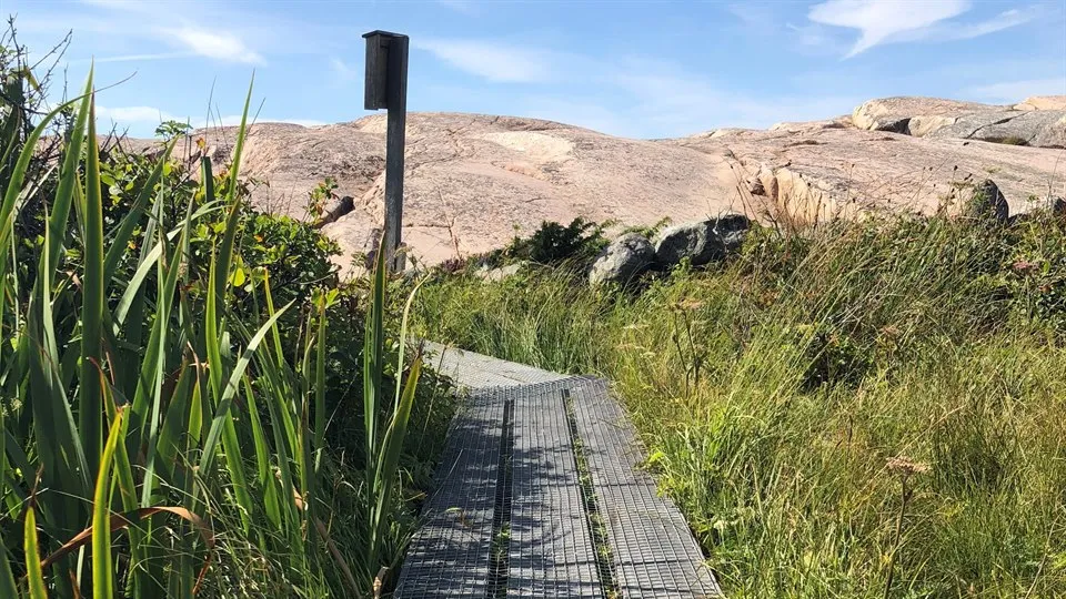 Vandringsled med spång