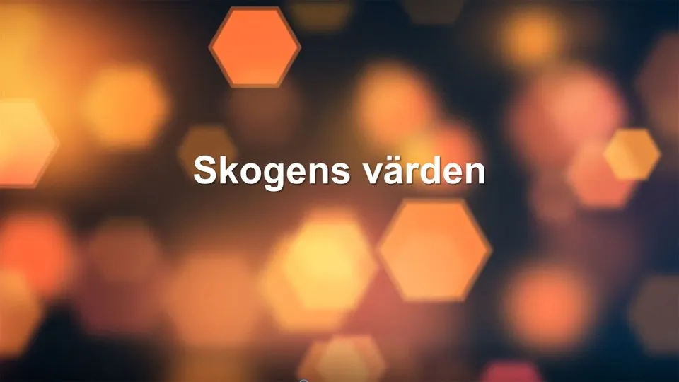 Skogens värden
