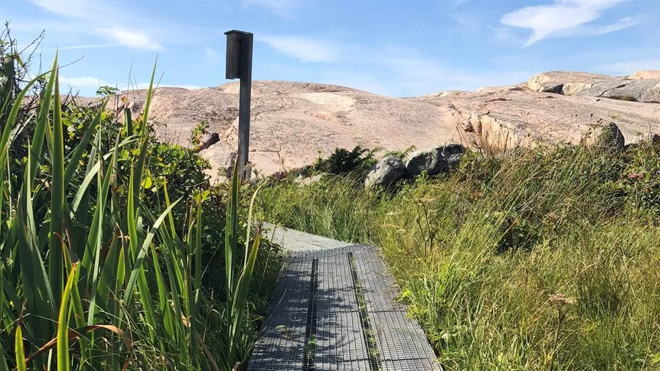 Vandringsled med spång