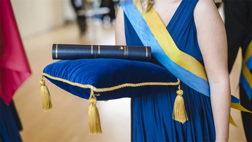 Akademisk högtid 2017