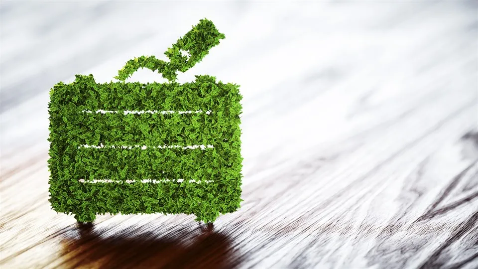 Suitcase covered in greenery to symbolize sustainable tourism